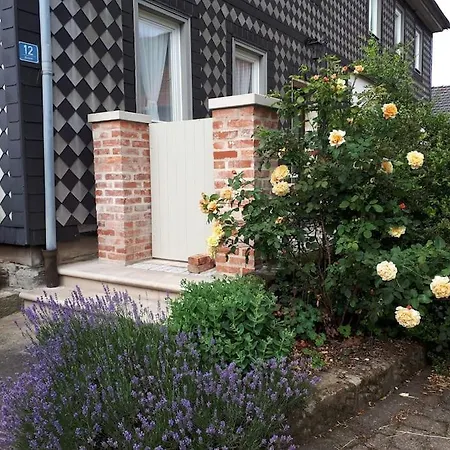 Rosenhof Appartement